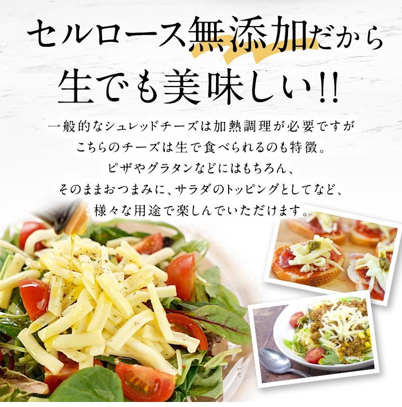 SL Creations Natural Cheese Mix [Japan Imported] 100g