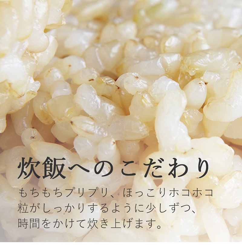 發芽玄米飯團 五穀